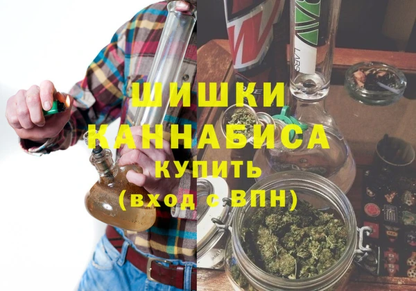 дурь Алзамай