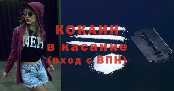 гашик Алексеевка