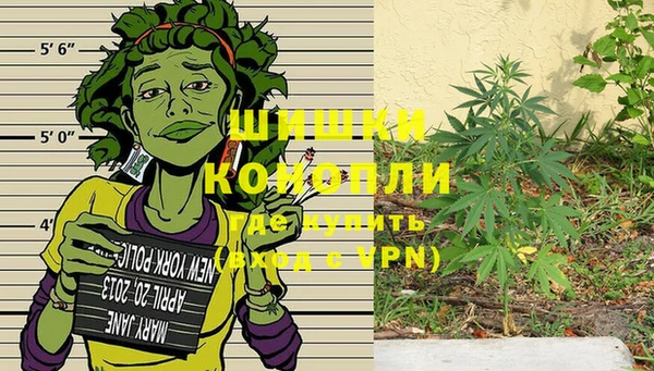 дурь Алзамай