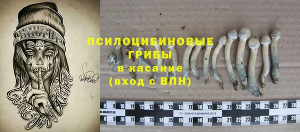 дурь Алзамай