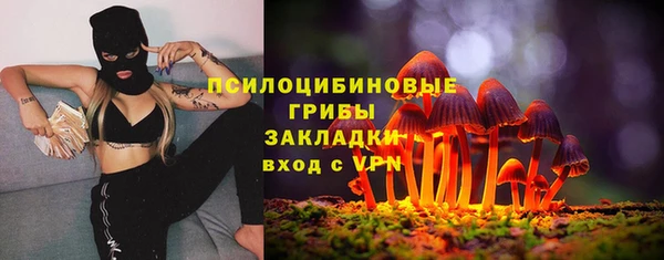 гашик Алексеевка