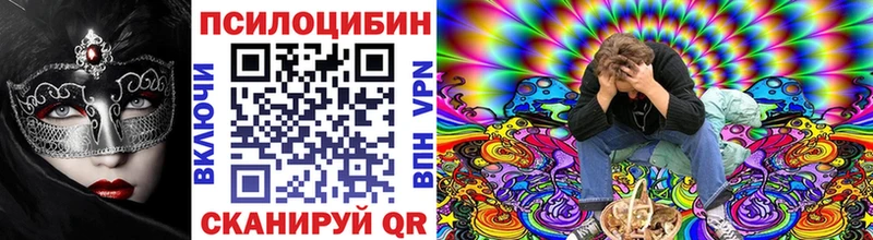 Псилоцибиновые грибы MAGIC MUSHROOMS  МЕГА ССЫЛКА  Тайшет  где найти наркотики 