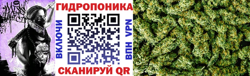 Бошки Шишки план  mega ONION  Тайшет 